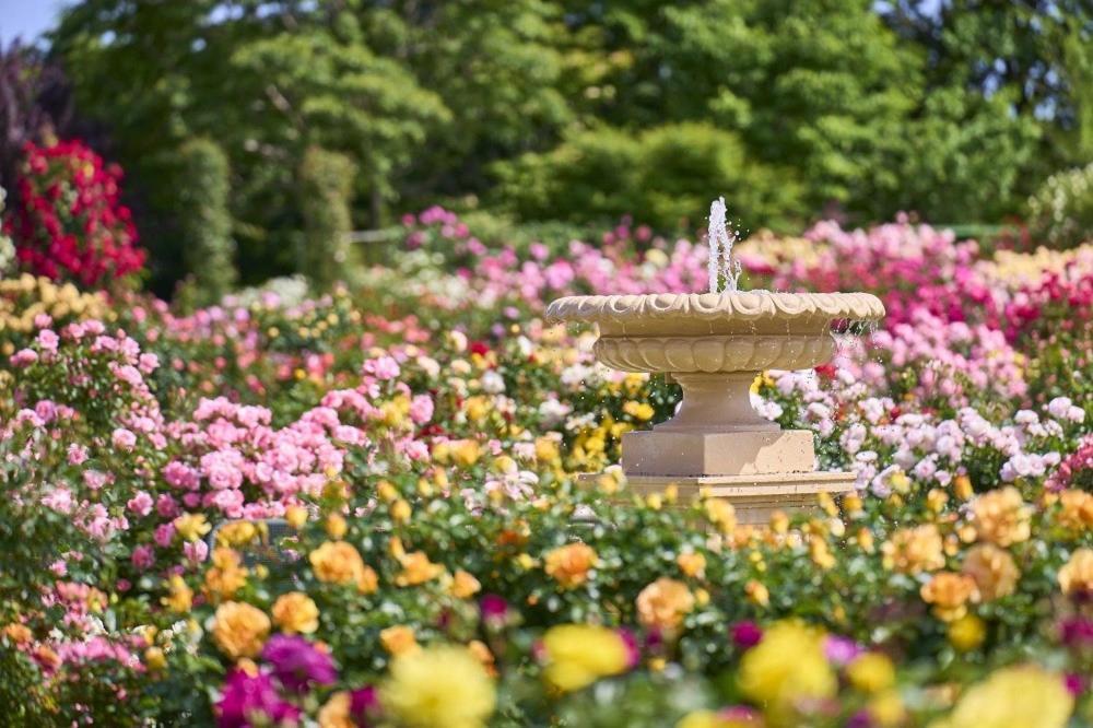 Wishton Hotel Yukari Sakura  Eksteriør bilde